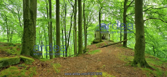 : Pavilion from 1593 at the Kleiner Winterberg mountain : Pavilion from 1593 at the Kleiner Winterberg mountain