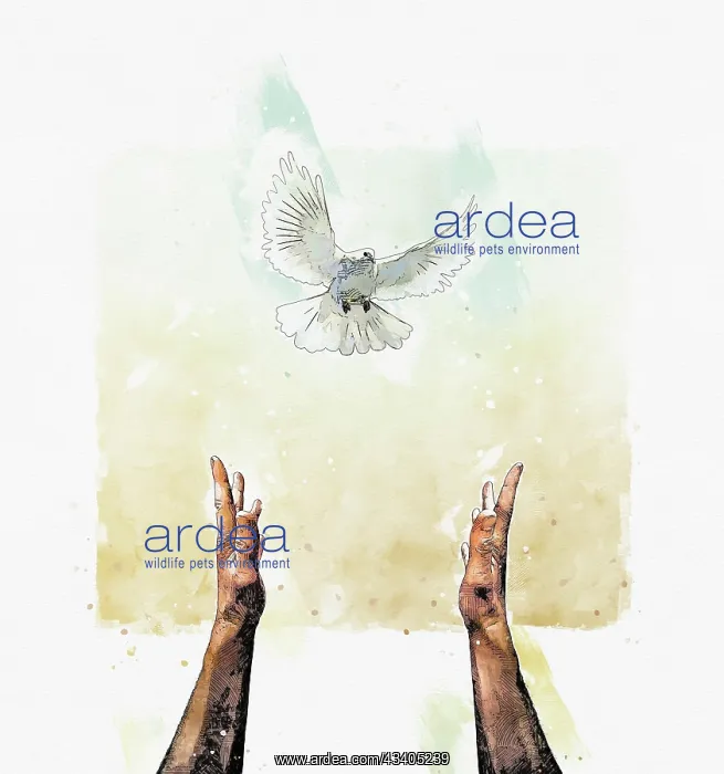 : Peace conceptual painting with human hands stretched : Peace conceptual painting with human hands stretched