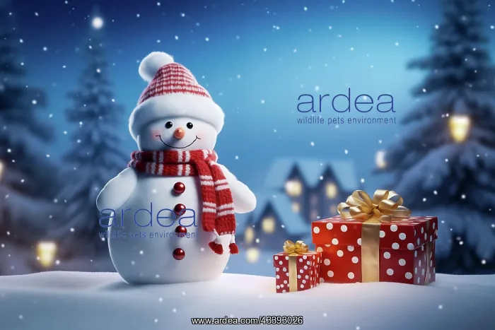 : Peaceful and serene Christmas scene with a cute : Peaceful and serene Christmas scene with a cute