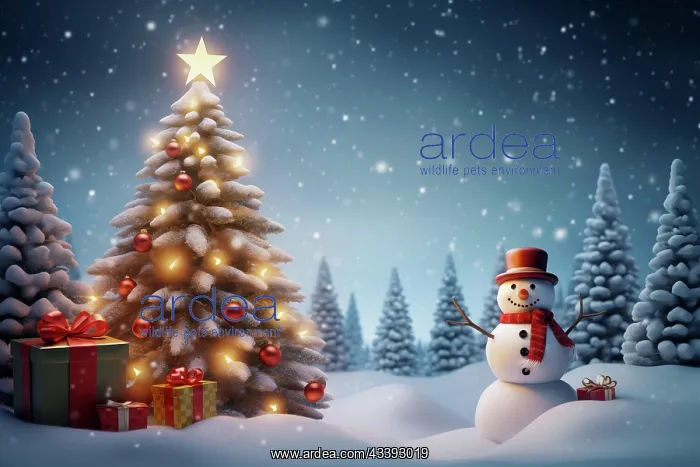 : Peaceful and serene Christmas scene with a decorated : Peaceful and serene Christmas scene with a decorated