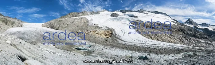 : Peak of Mt. Grossvenediger, one of the highest : Peak of Mt. Grossvenediger, one of the highest