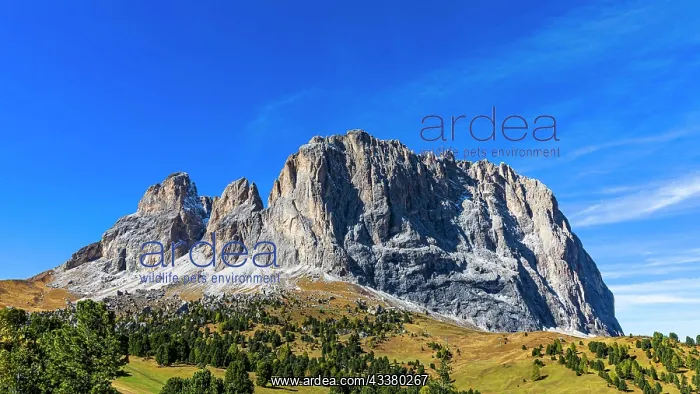 : Peak of the Puez Group, near Selva Gardena, Val : Peak of the Puez Group, near Selva Gardena, Val