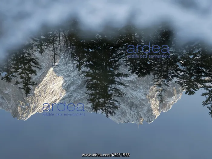 : Peak of Zugspitze (2962m), Germany's highest : Peak of Zugspitze (2962m), Germany's highest