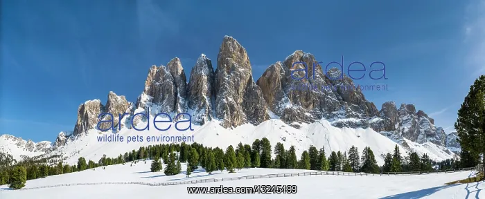 : The peaks of the Geisler mountain range : The peaks of the Geisler mountain range
