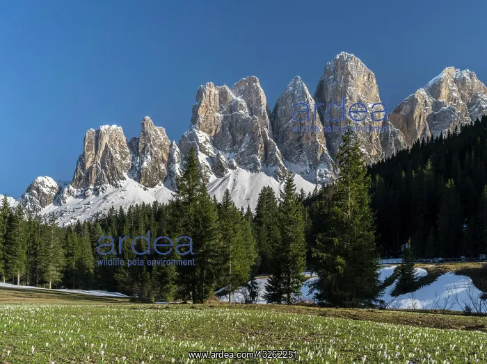: The peaks of the Geisler mountain range : The peaks of the Geisler mountain range