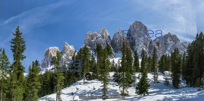 : The peaks of the Geisler mountain range : The peaks of the Geisler mountain range