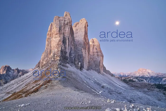 : Three Peaks by Moonlight, Misurina, Dolomites, South : Three Peaks by Moonlight, Misurina, Dolomites, South