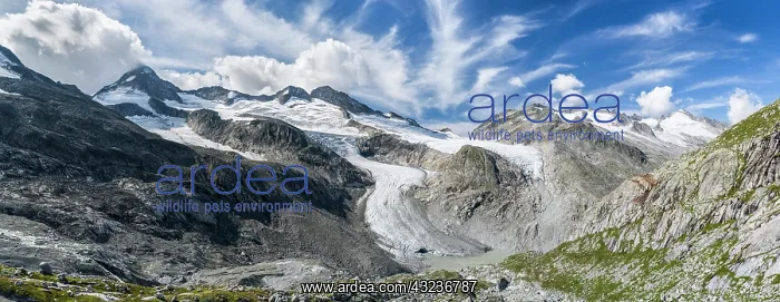 : Peaks Mt. Grosser Geiger, Mt. Maurerkeeskopf : Peaks Mt. Grosser Geiger, Mt. Maurerkeeskopf