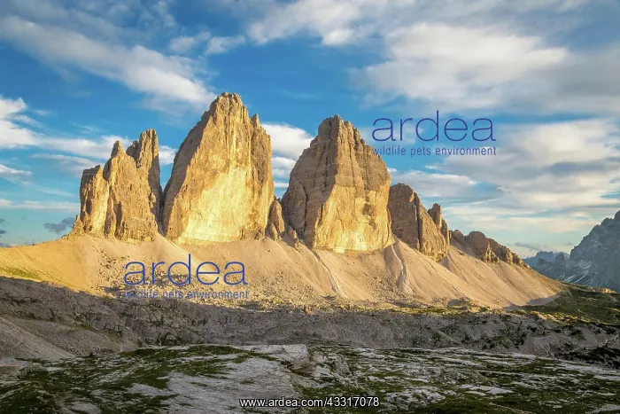 : Three Peaks, north faces, in the evening light : Three Peaks, north faces, in the evening light