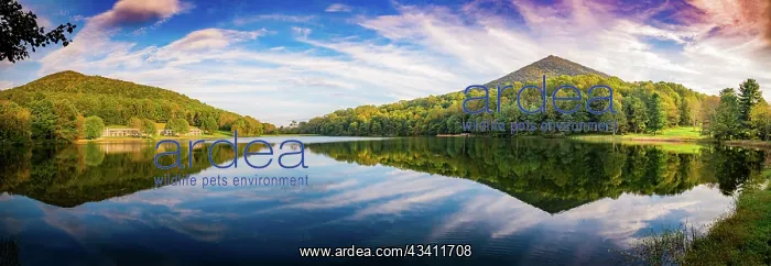 : Peaks Of Otter lake reflections panorama, Blue Ridge : Peaks Of Otter lake reflections panorama, Blue Ridge