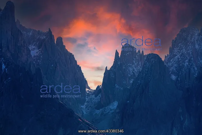 : The peaks of the Sassolungo group in the sunset : The peaks of the Sassolungo group in the sunset
