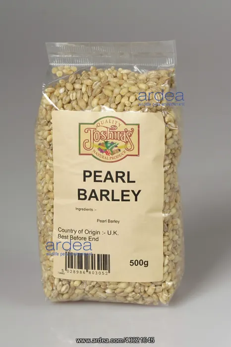 : Pearl barley grain : Pearl barley grain