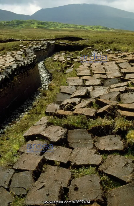  : Peat Cutting