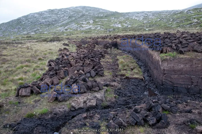 : Peat Cutting : Peat Cutting