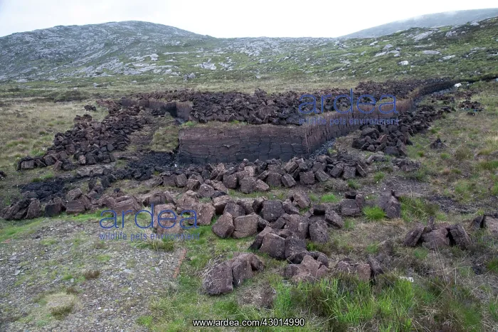 : Peat Cutting : Peat Cutting