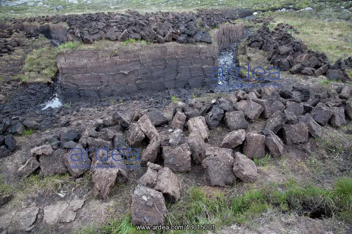 : Peat Cutting : Peat Cutting