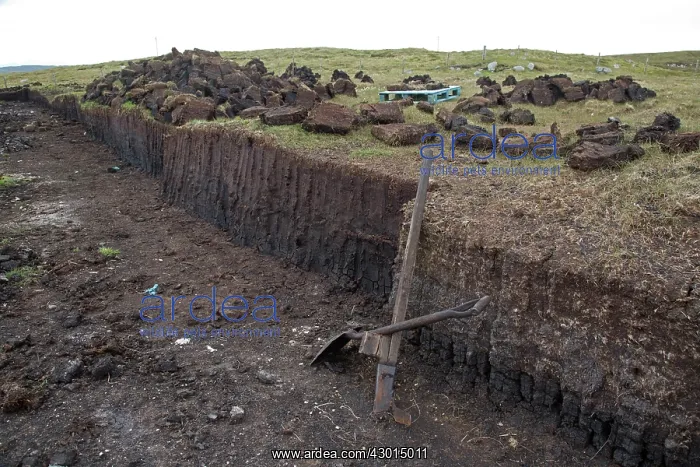 : Peat Cutting : Peat Cutting
