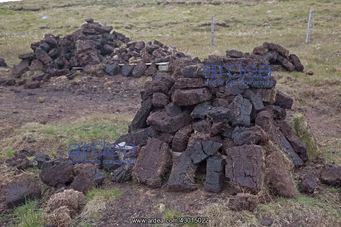 : Peat Cutting