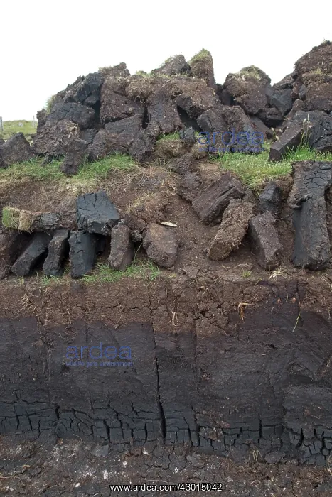 : Peat Cutting : Peat Cutting