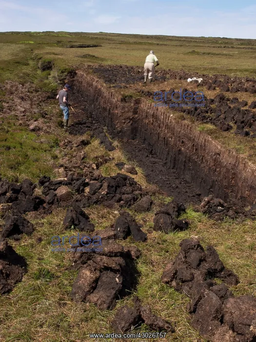 : Peat Digging : Peat Digging