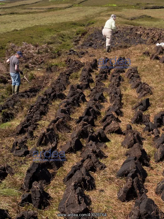 : Peat Digging : Peat Digging