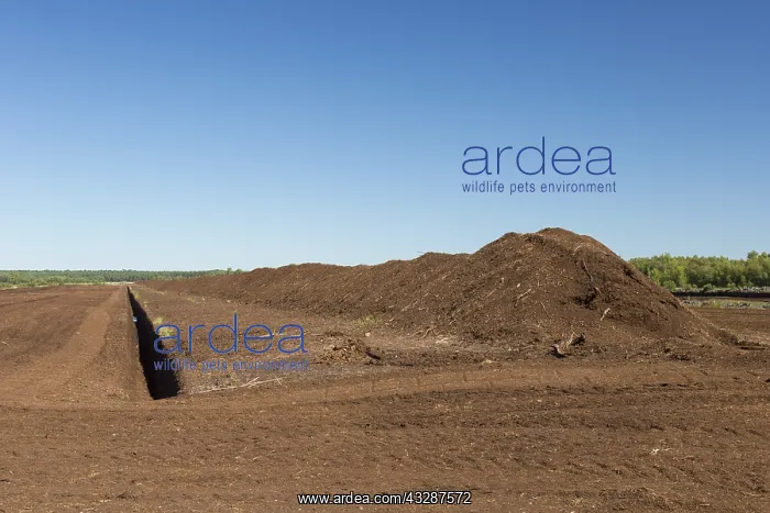 : Peat extraction at Totes Moor - Lower Saxony - Germany : Peat extraction at Totes Moor - Lower Saxony - Germany