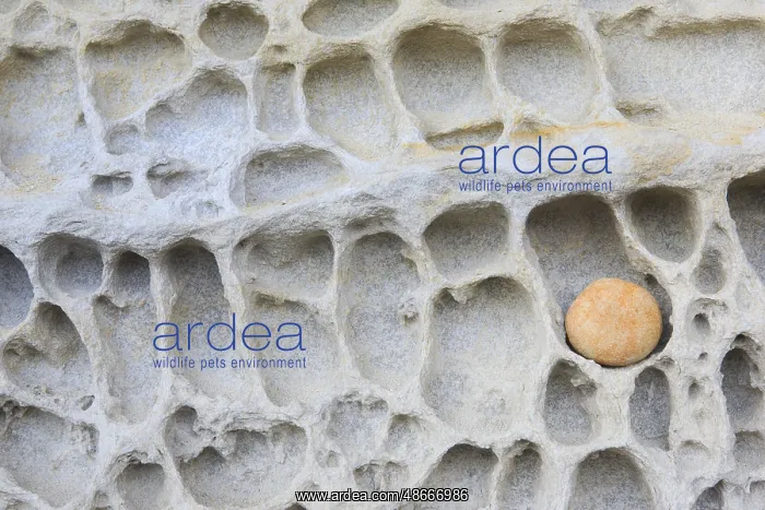 : Pebble : Pebble