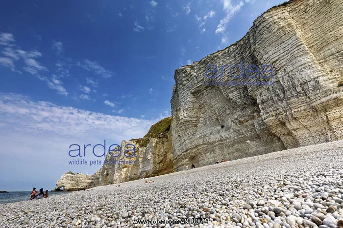 : Pebble beach in front of high cliffs with blue sky and sea : Pebble beach in front of high cliffs with blue sky and sea