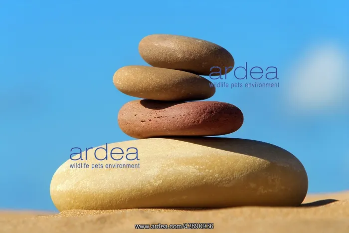  : Pebbles - pile on sand