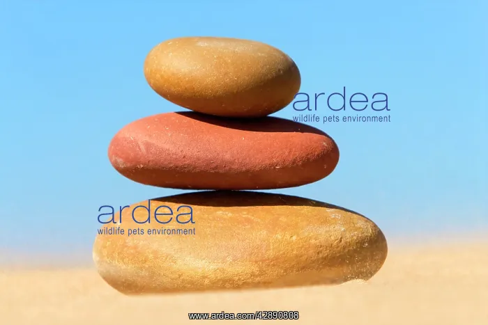  : Pebbles - piled up