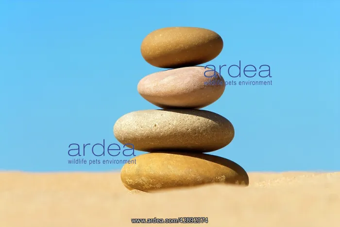  : Pebbles - piled up