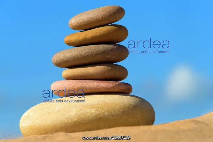 : Pebbles - piled on top of each other : Pebbles - piled on top of each other