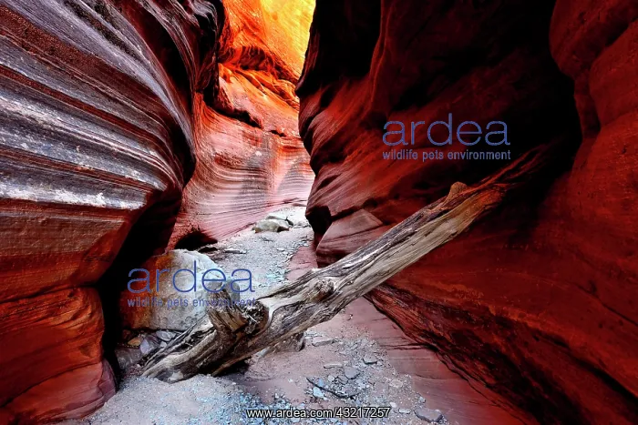 : Peckaboo Canyon, Kanab, Utah, USA, North America : Peckaboo Canyon, Kanab, Utah, USA, North America