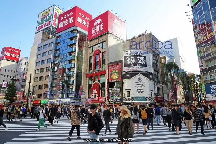 : Pedestrian crossing by Game Taito Stations in Shinjuku, Toky : Pedestrian crossing by Game Taito Stations in Shinjuku, Toky