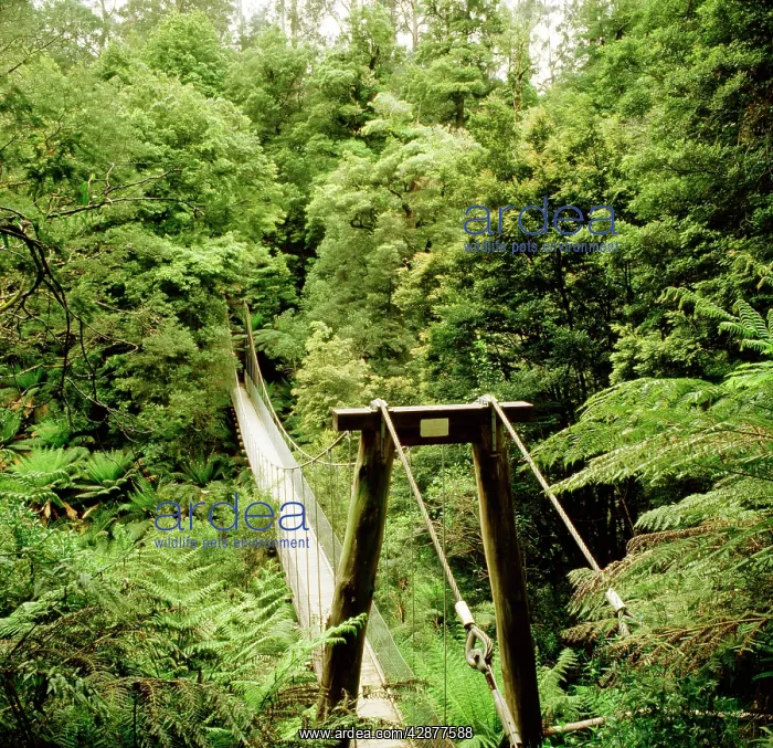  : Pedestrian (swing) bridge