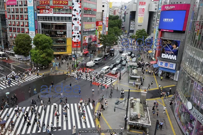  : Pedestriations on the Shibuya Scramble Crossing, Shibuya, Tokyo