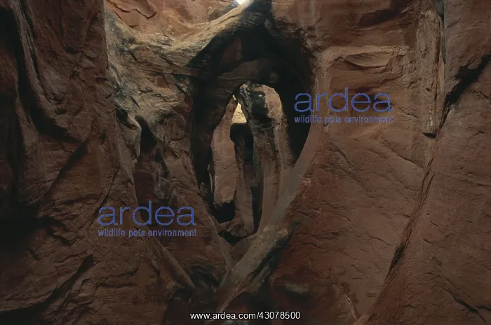: Peek-a-boo Gulch, Utah : Peek-a-boo Gulch, Utah