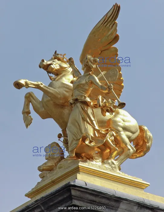 : Pegasus statue at the Pont Alexander III : Pegasus statue at the Pont Alexander III