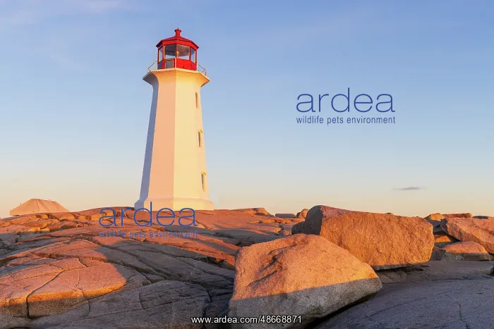 : Peggy's Cove Lighthouse, Nova Scotia, Canada : Peggy's Cove Lighthouse, Nova Scotia, Canada