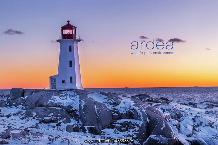 : Peggy's Cove Lighthouse in winter at sunset, Nova Scotia : Peggy's Cove Lighthouse in winter at sunset, Nova Scotia