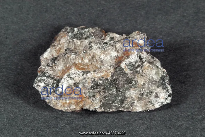 : Pegmatite. Hand sample of Pegmatite, a coarsely grained intrusive igneous : Pegmatite. Hand sample of Pegmatite, a coarsely grained intrusive igneous