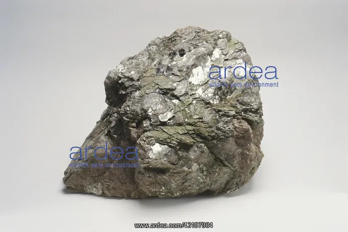 : Pegmatite with large mica crystals : Pegmatite with large mica crystals