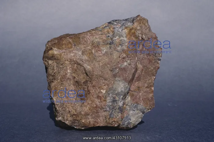 : Pegmatite made up of orthoclase (pink) and quartz (gray), from Coles Bay, Tasmania : Pegmatite made up of orthoclase (pink) and quartz (gray), from Coles Bay, Tasmania