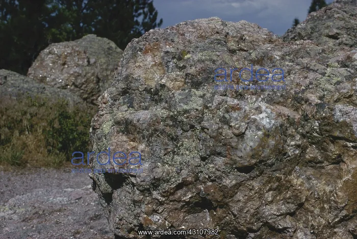 : Pegmatite in Hot Springs, South Dakota : Pegmatite in Hot Springs, South Dakota