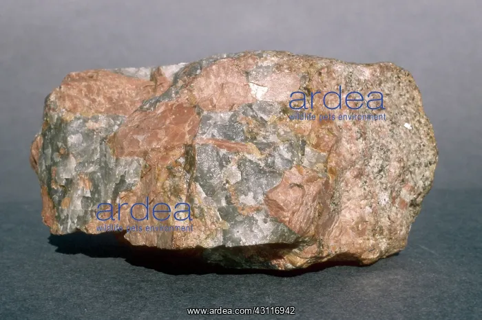 : Pegmatite. A specimen of the igneous rock pegmatite (orthoclase and quartz), : Pegmatite. A specimen of the igneous rock pegmatite (orthoclase and quartz),