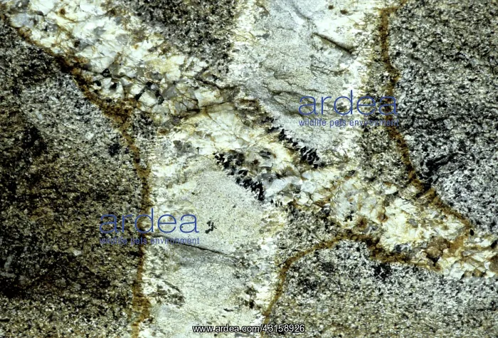 : Pegmatite and aplite dikes, Thailand : Pegmatite and aplite dikes, Thailand