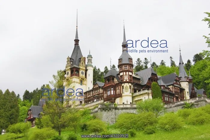 : Peles Castle, Sinaia, Romania : Peles Castle, Sinaia, Romania