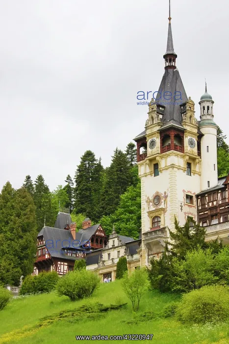 : Peles Castle, Sinaia, Romania : Peles Castle, Sinaia, Romania