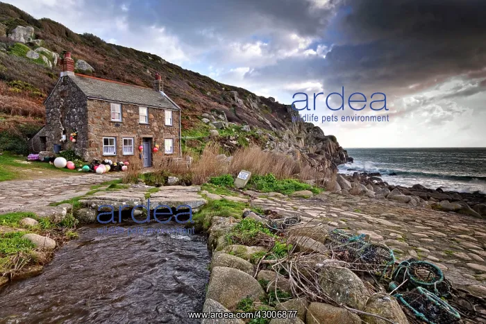  : Penberth. Cornwall - UK
