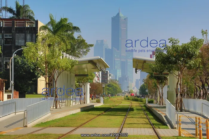 : Penglai Pier 2 tram station and the 85 Sky Tower : Penglai Pier 2 tram station and the 85 Sky Tower